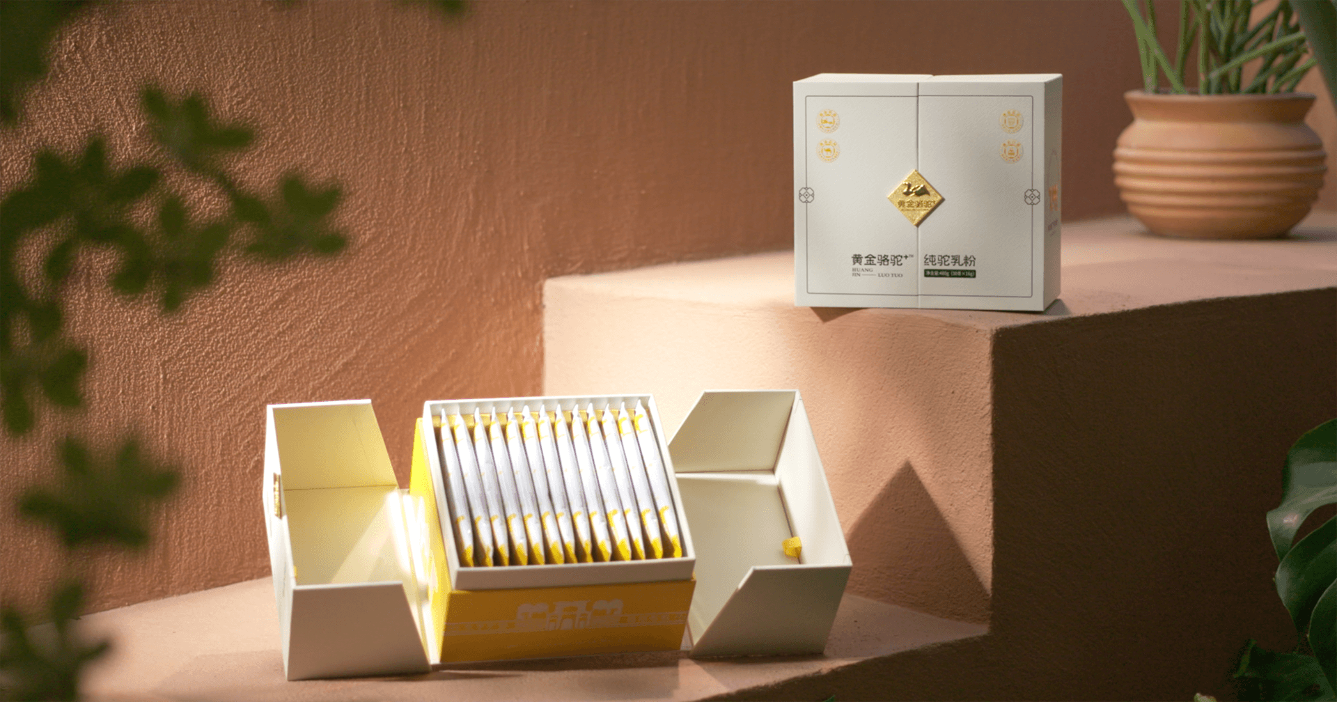 定位小众高端乳粉，太阳成集团tyc151cc推出驼奶品牌“黄金骆驼+”，角逐乳品新市场！