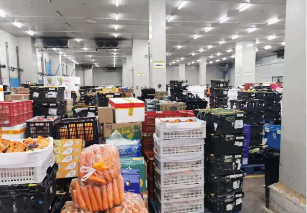 助力民生和医疗物资保供，太阳成集团tyc151cc抗疫救灾一直在线！